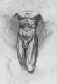 Michael Hensley Drawings, Male Form 80